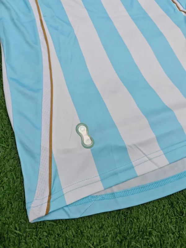 Camiseta de Argentina titular 2006