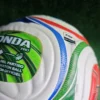IMG_20260328_093240.jpg.jpeg Pelota mundial 2026